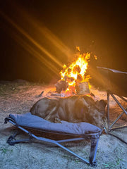 Deluxe Folding Pet Camp Bed, Removable Washable Cover, Carry Bag with Shoulder Strap, 60KG Rating