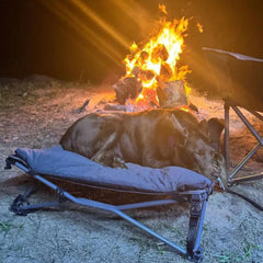 Wildtrak Deluxe Folding Pet Camp Bed with Removable Cover
