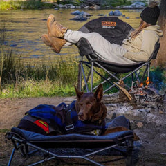 Wildtrak Deluxe Folding Pet Camp Bed with Removable Cover