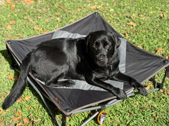 Deluxe XL Pet Camp Bed, 96 x 96cm, Removable Washable Cover, 80kg Rating