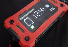 Wildtrak 12V 15A Battery Charger - Car, Boat, AGM & LiFePO₄ Compatible