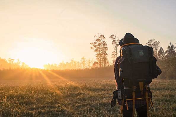 Top Reasons Why You Should Go Camping