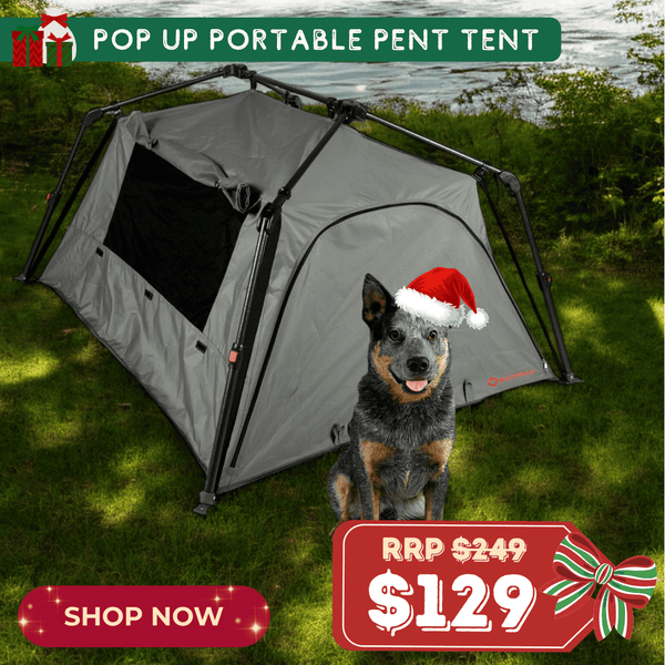 Pop up Portable Pet Tent