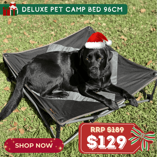 Deluxe Pet Camp Bed 95cm