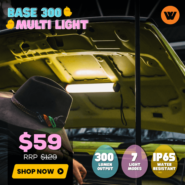 Base 300 Multi Light