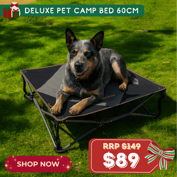 Deluxe Pet Camp Bed 60cm