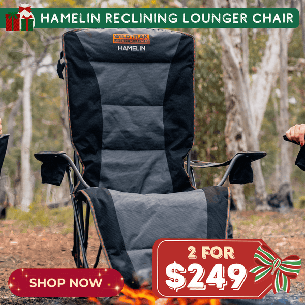 Hamelin Reclining Lounger Chair