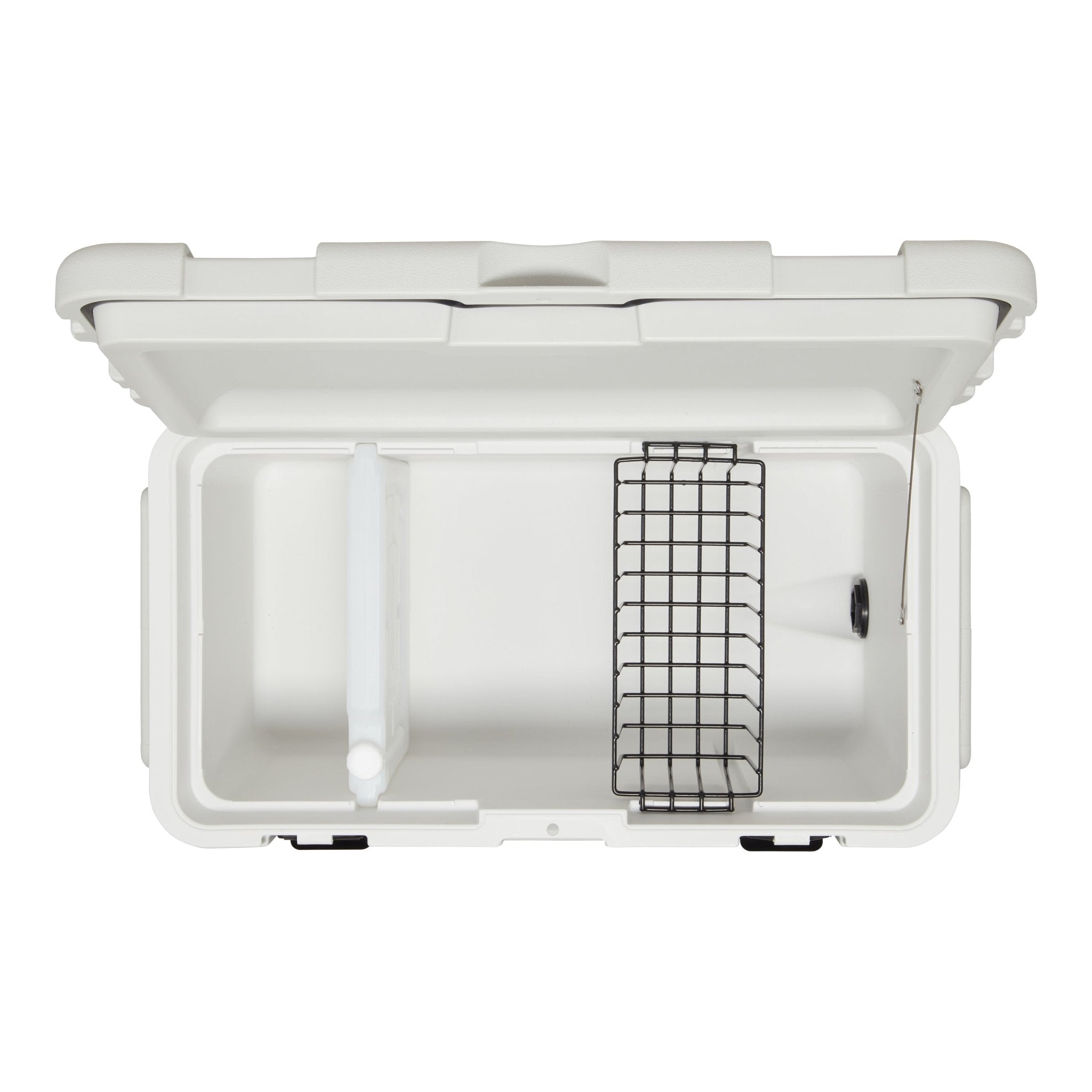 Coleman Glacier Hard Cooler 50L
