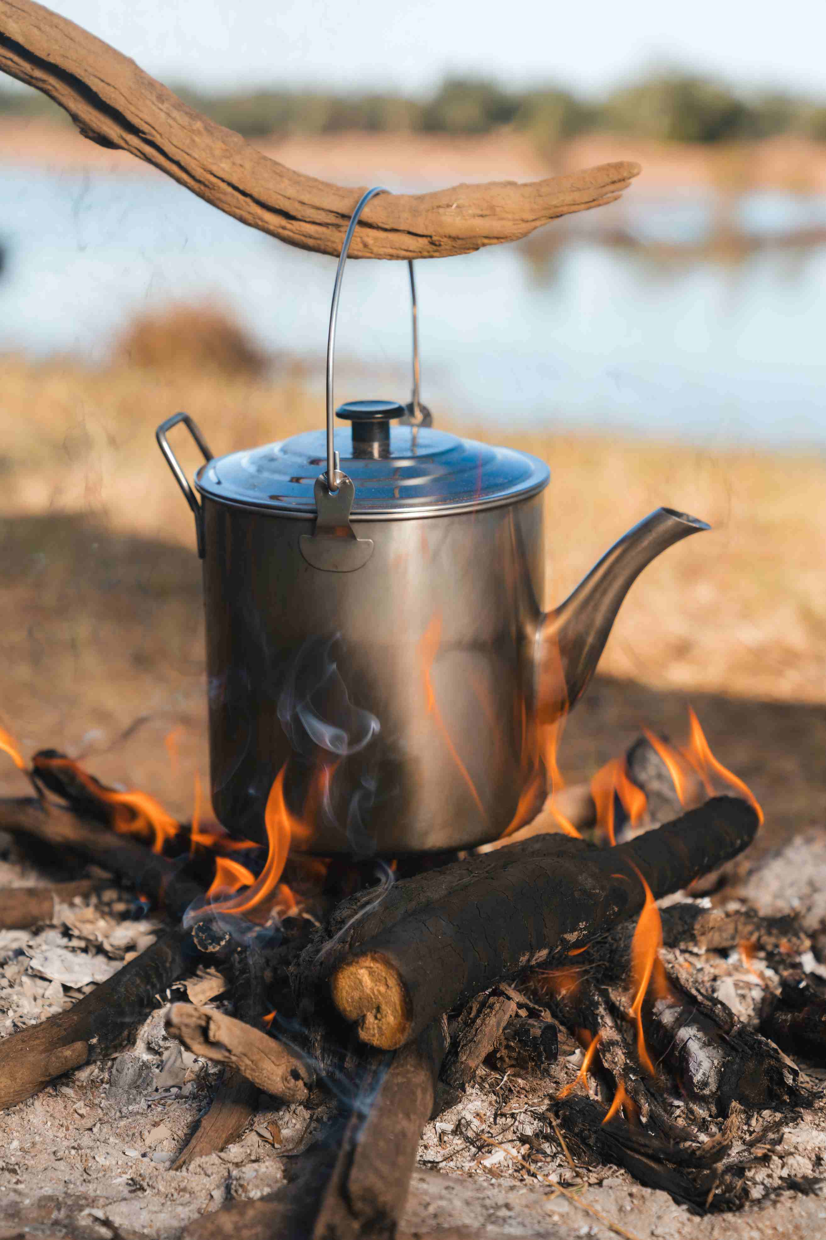 2.8L Stainless Steel Billy Teapot with Handle and Lid