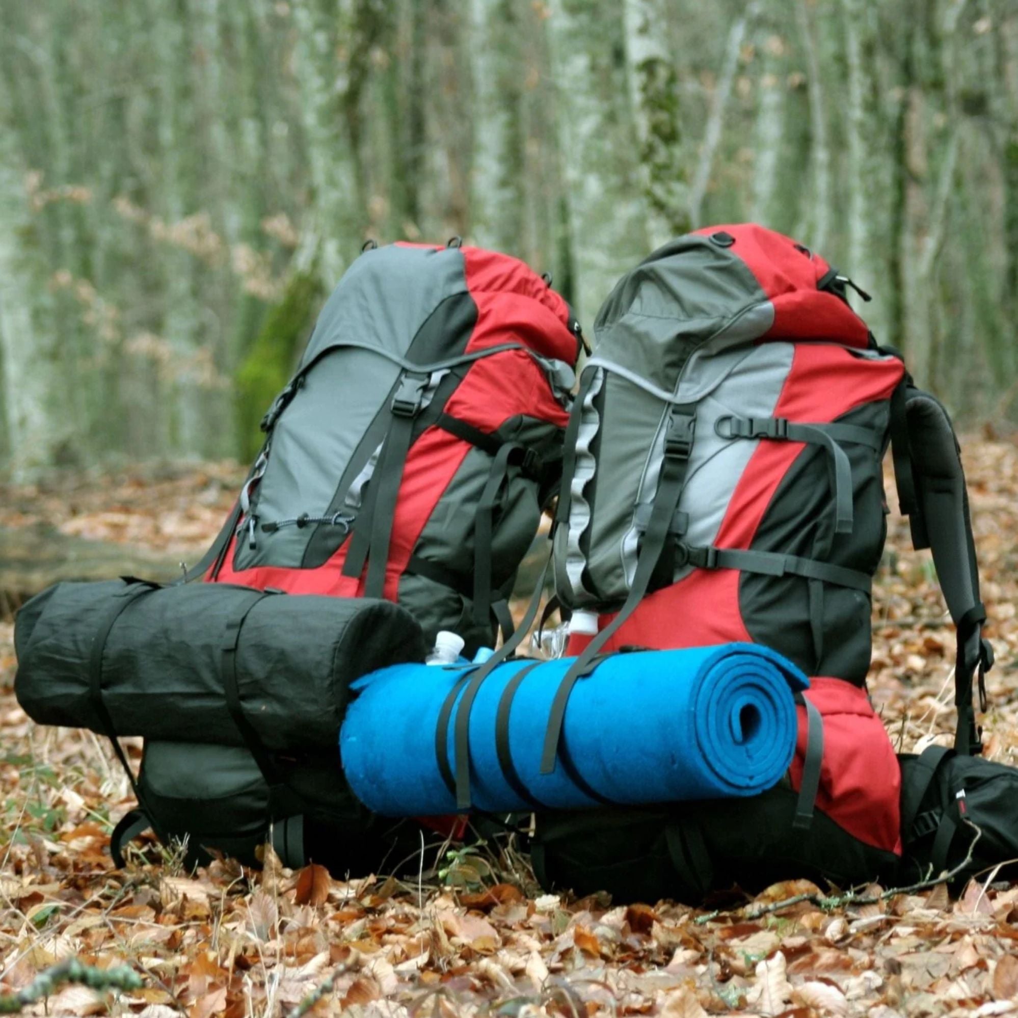 DELUXE EVA TREK 10MM CAMP MAT