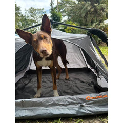 Pop Up Pet Tent Large | Portable Outdoor Dog Kennel with Ventilated Panels & Carry Bag