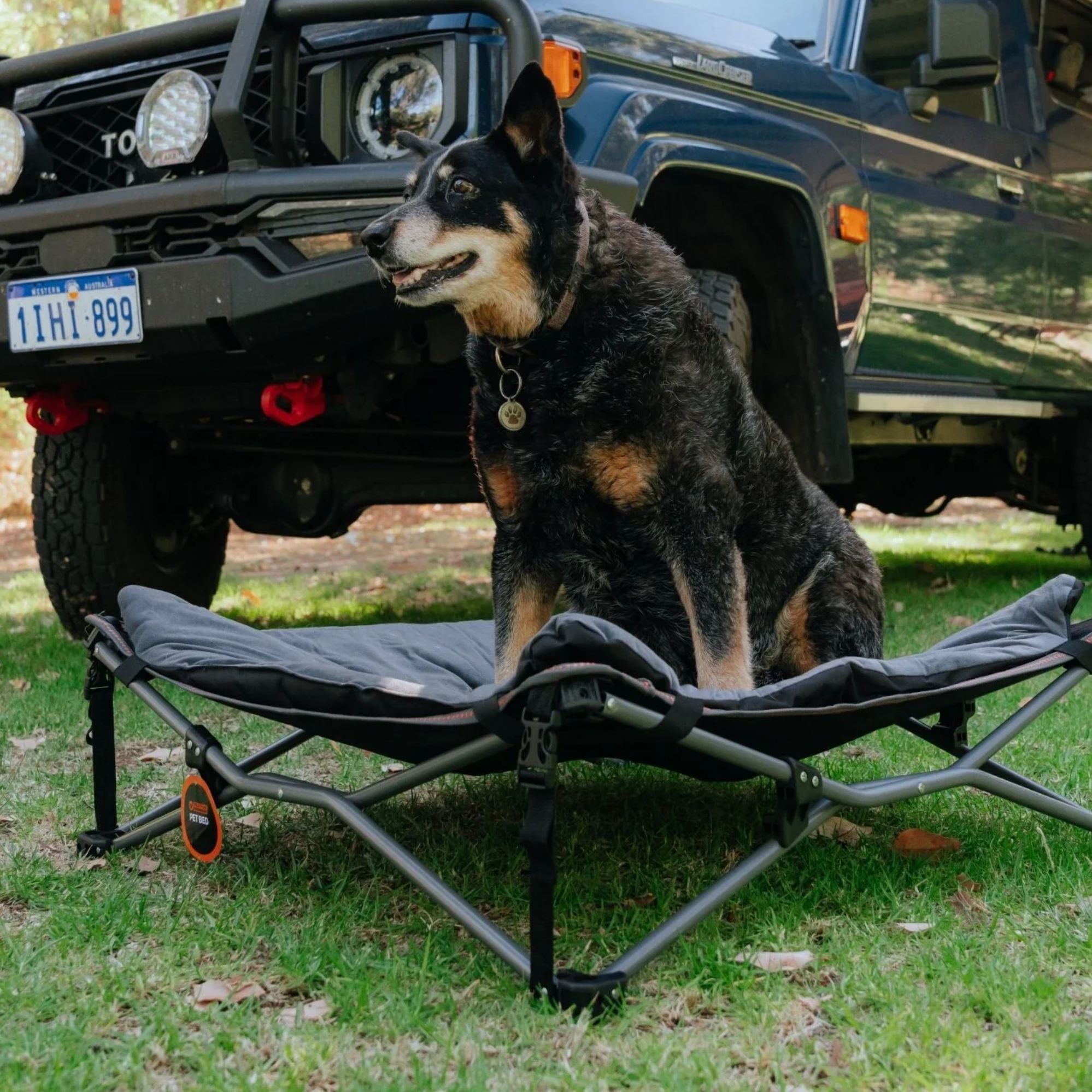 Wildtrak Deluxe Folding Pet Camp Bed with Removable Cover