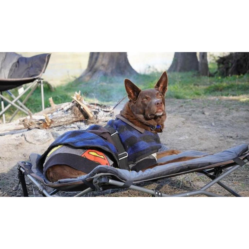Wildtrak Deluxe Folding Pet Camp Bed with Removable Cover