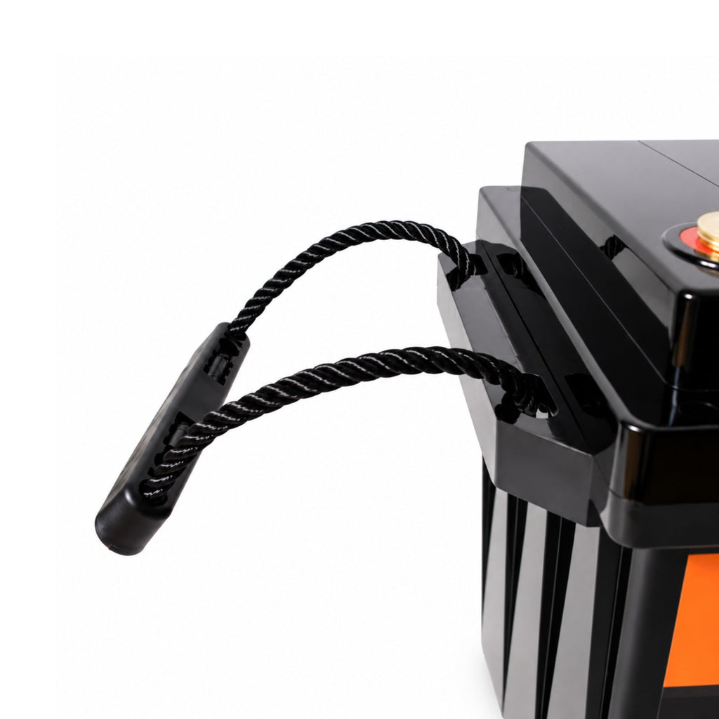 Wildtrak 12V Lithium Battery Volt Pro 230AH LiFePO4