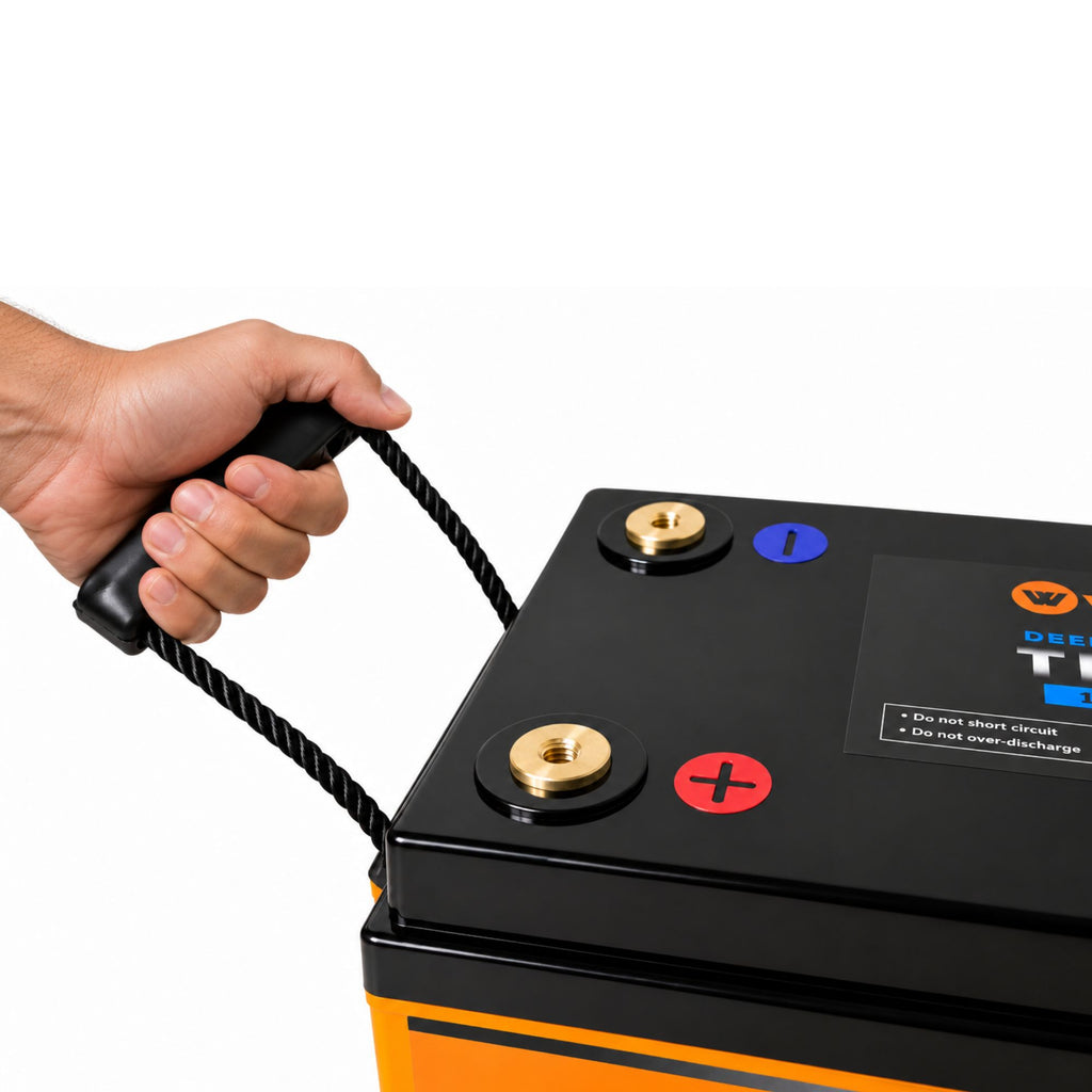 Wildtrak 12V Lithium Battery Titan Max 230AH LiFePO4