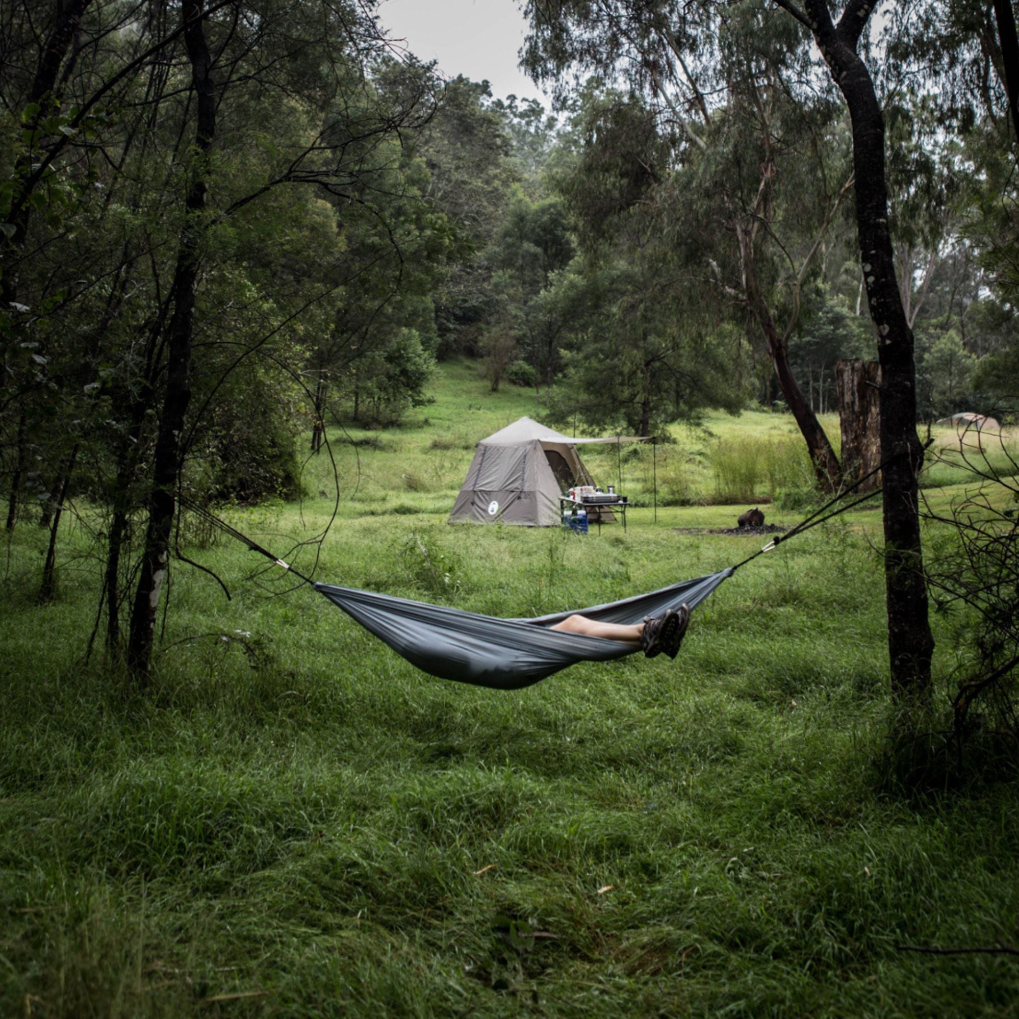 Coleman Lightweight Nylon Universal Sling Hammock 148 x 220 cm, 180kg