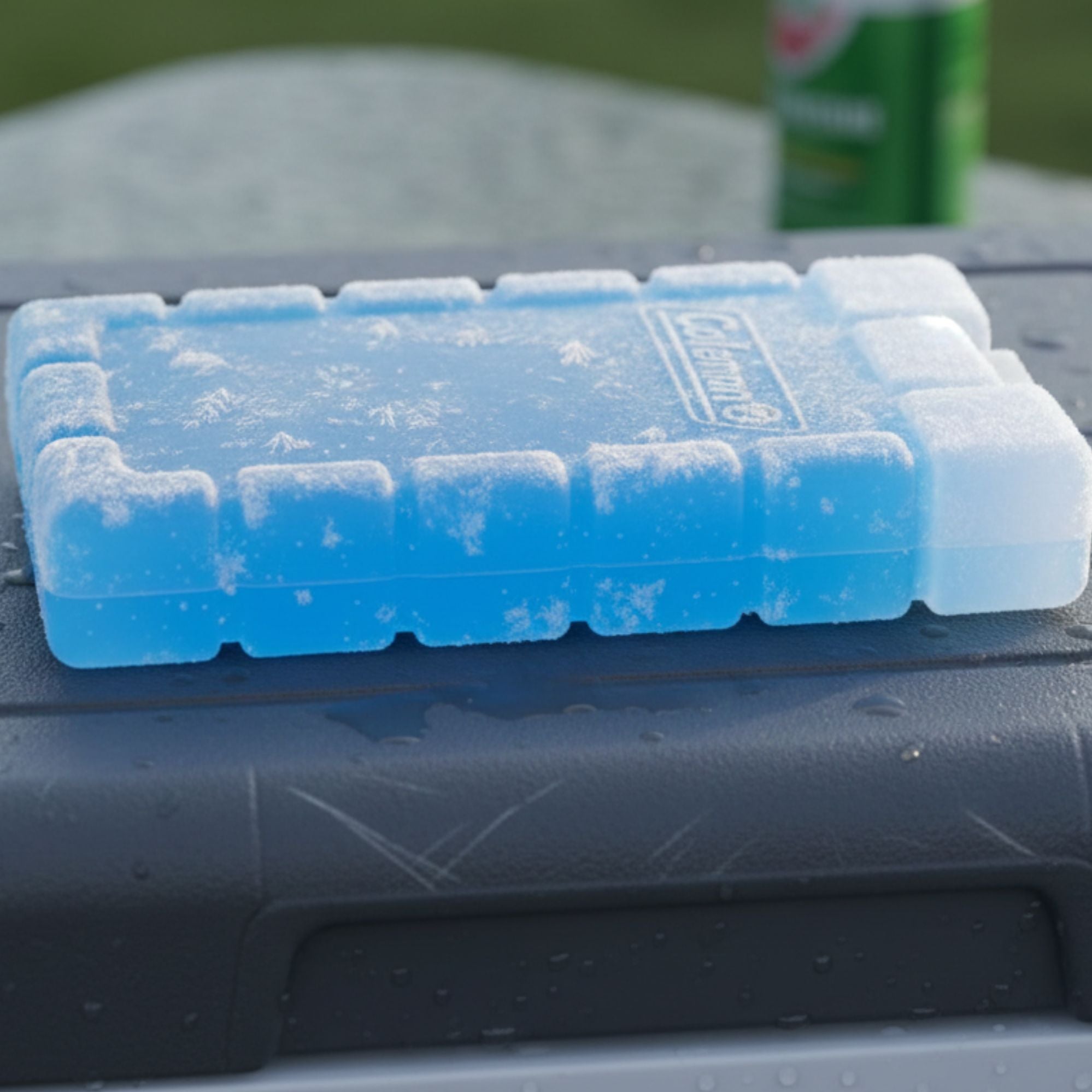 Coleman Ice Brick Medium 10x5x17cm