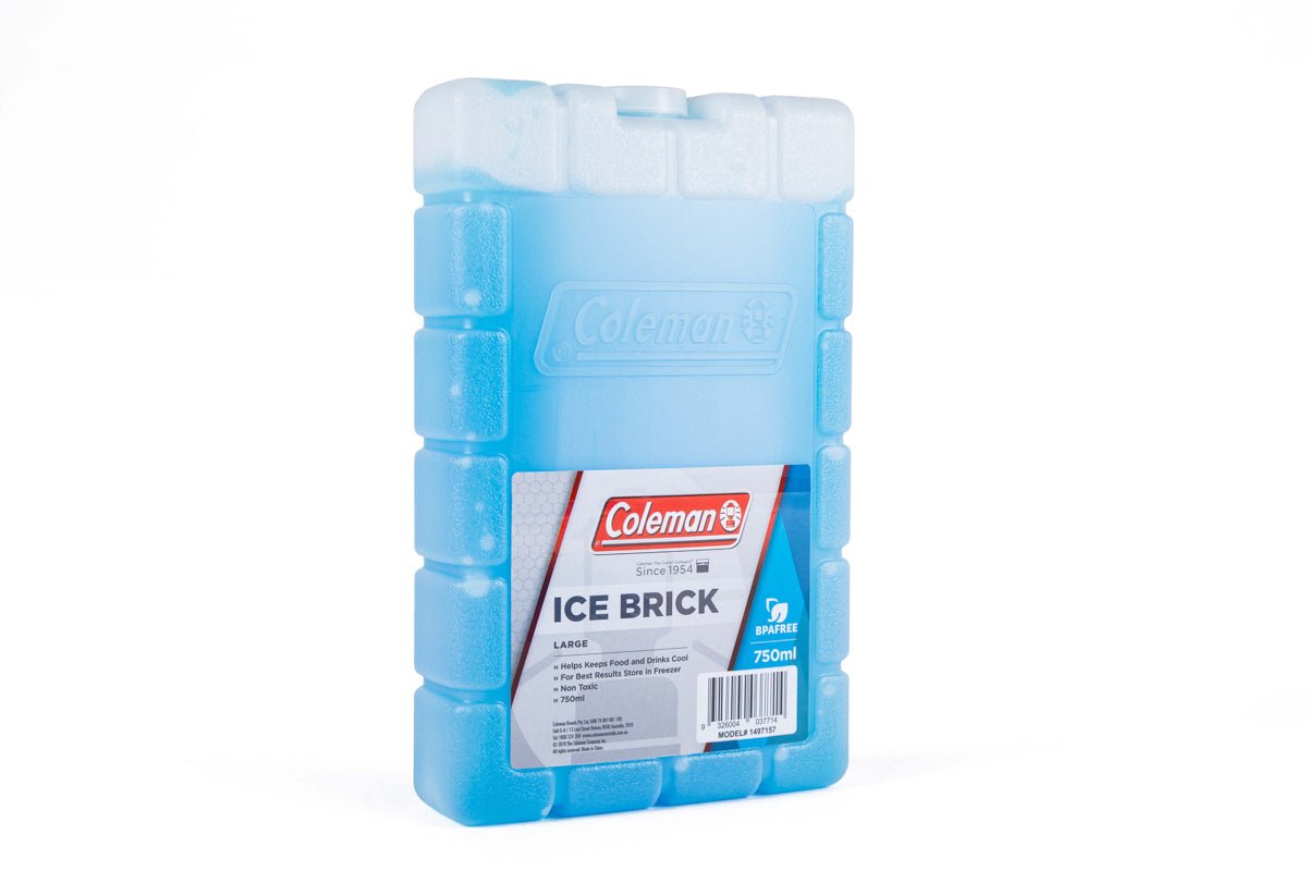 Ice Brick Medium 10x5x17 cm