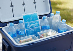 Gel Pack Large 41x24x1 cm