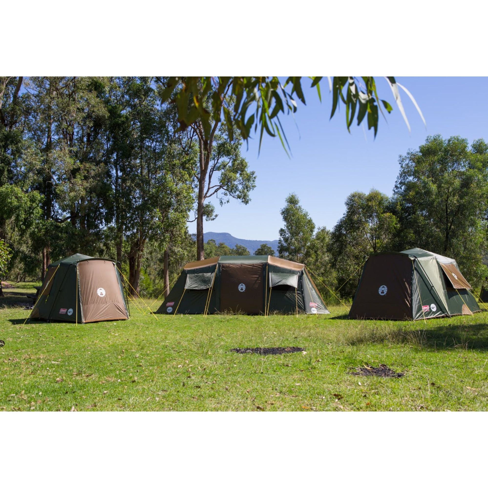Coleman 4P Northstar Series Instant Up Tent, Darkroom, Weathertec