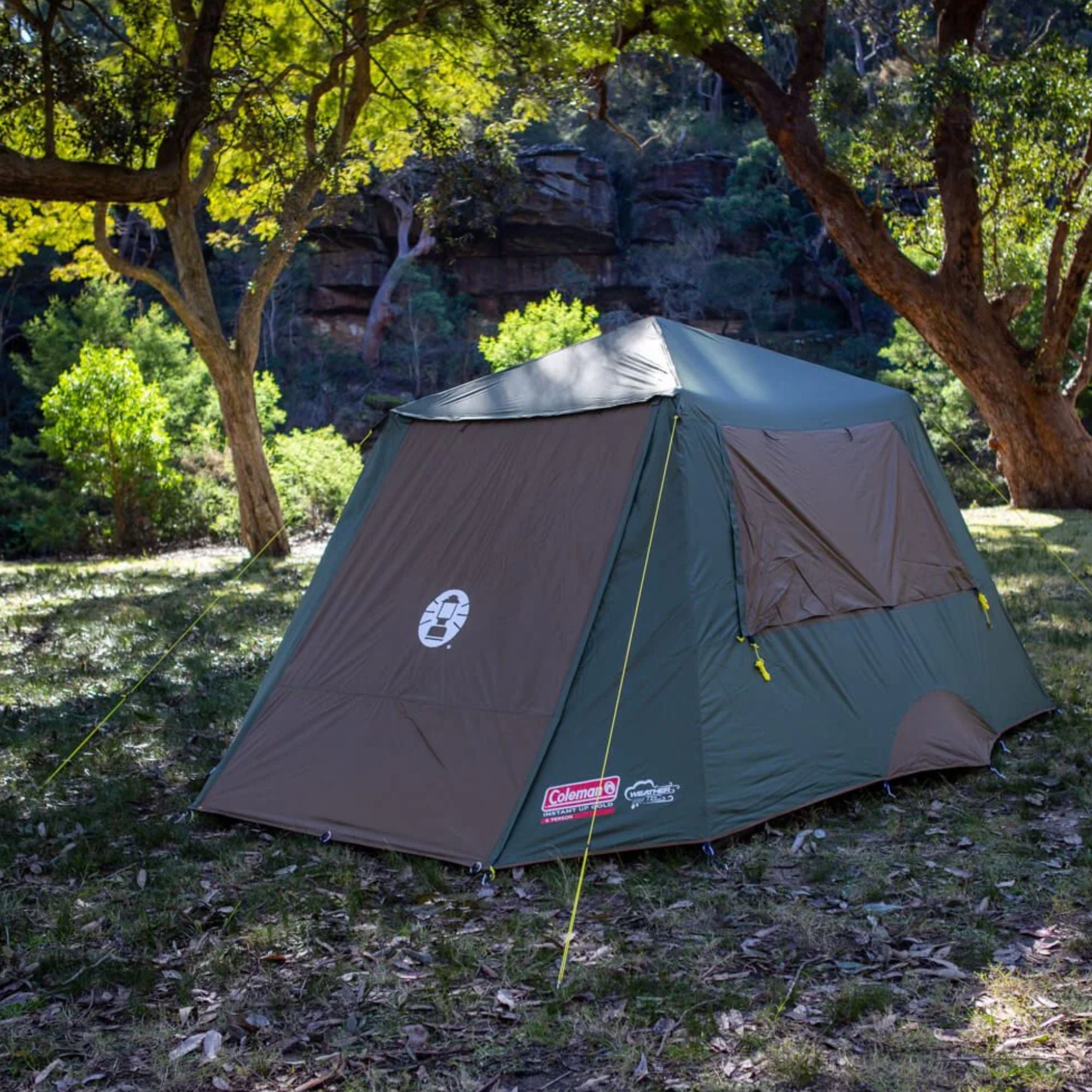 Coleman 6P Gold Series Evo Instant Up Tent, Weathertec
