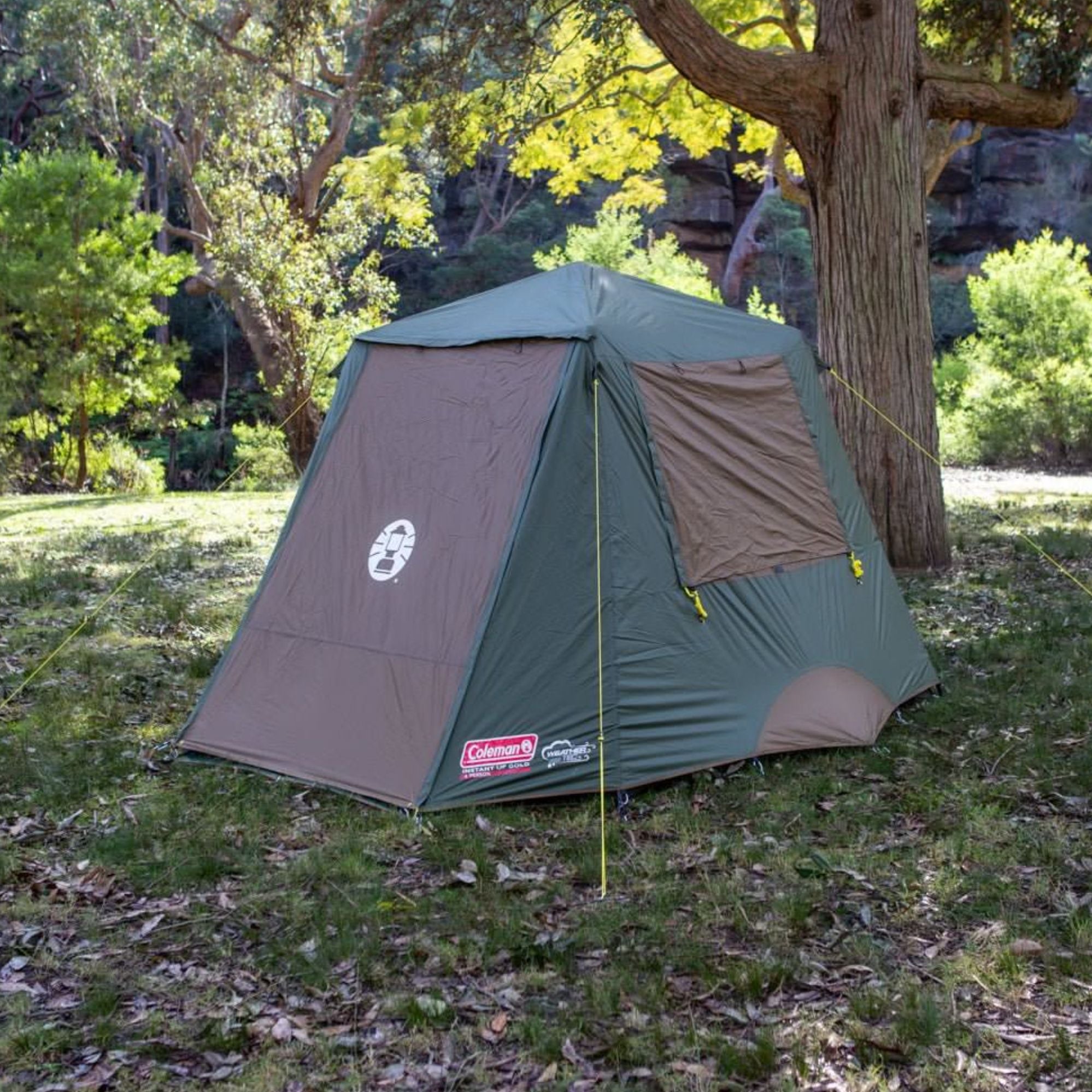 Coleman 4P Gold Series Evo Instant Up Tent, Weathertec