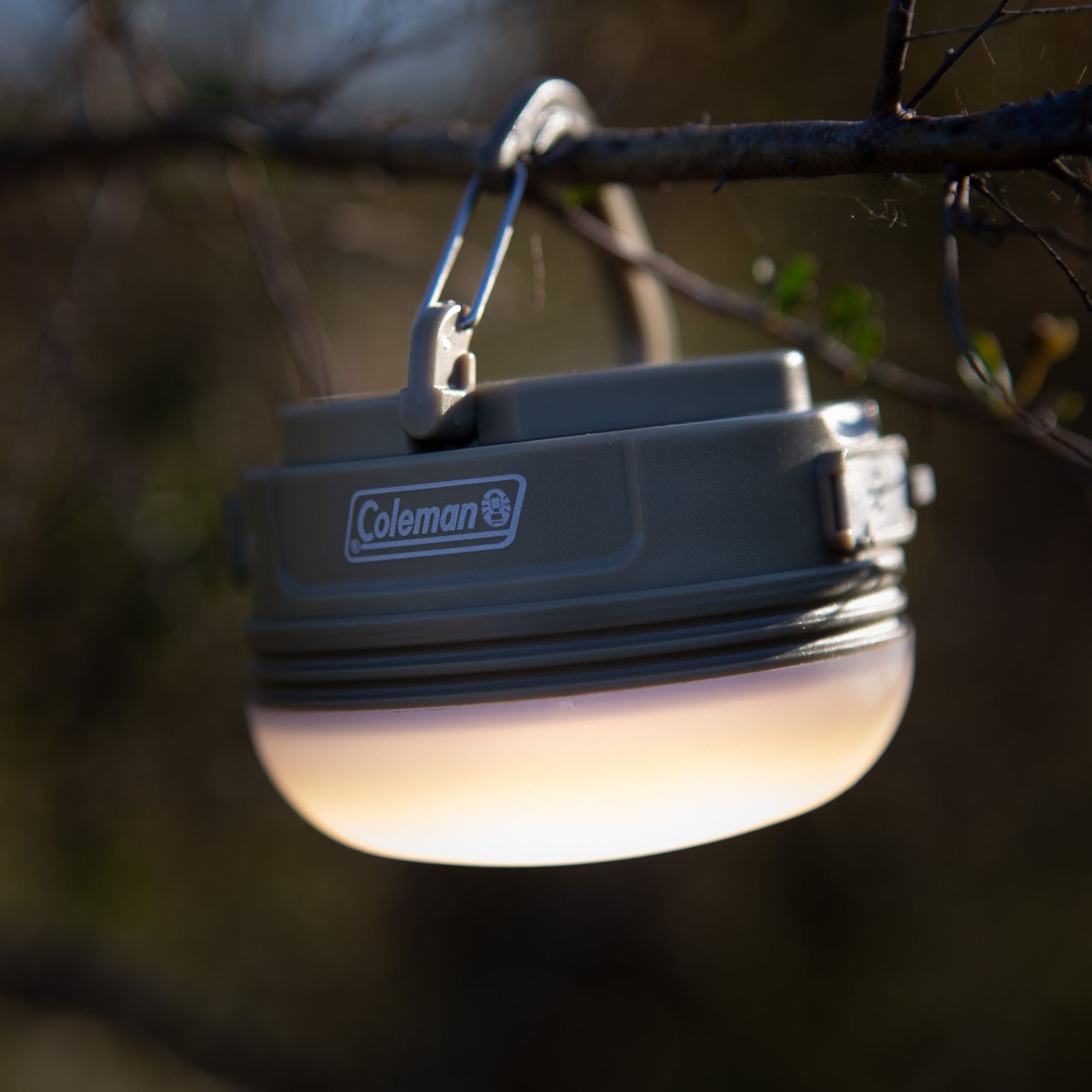 Coleman 250 Lumens Swagger Lantern, Rechargeable Lithium Ion, Water Re