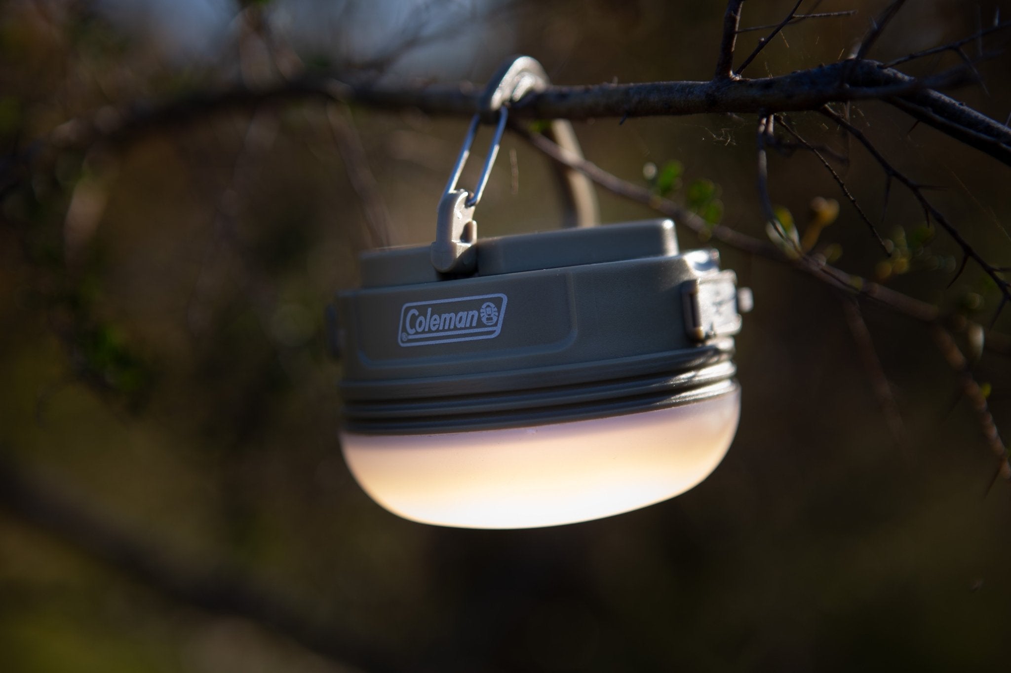 Swagger Lantern 250 Lumens, Rechargeable Lithium Ion, Durable, Lightweight, Compact, Water Resistant