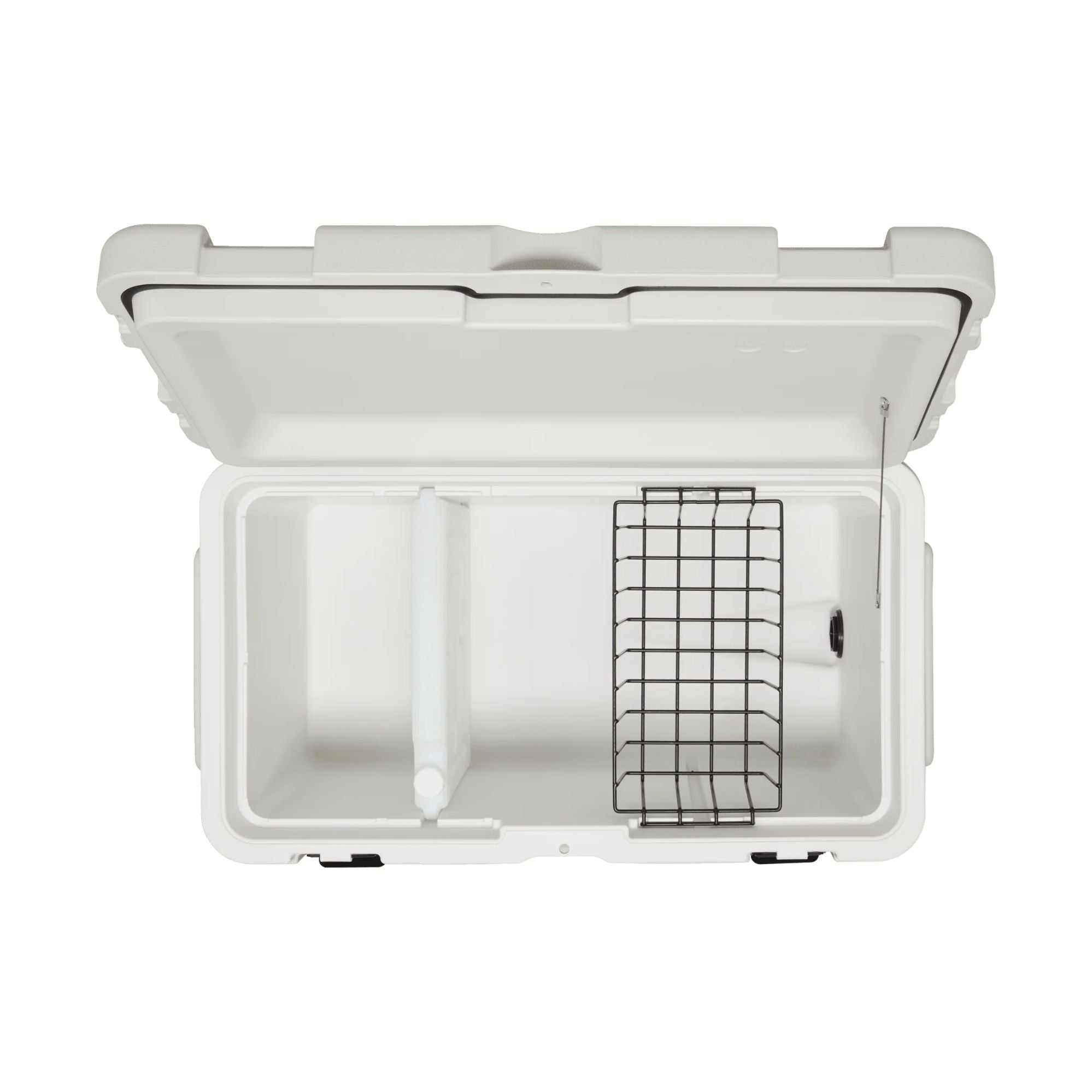 Coleman Hard Cooler 70L - Glacier