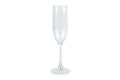 Champagne Flute 145ml, Tritan Shatter-Proof Plastic, BPA Free & Lightweight